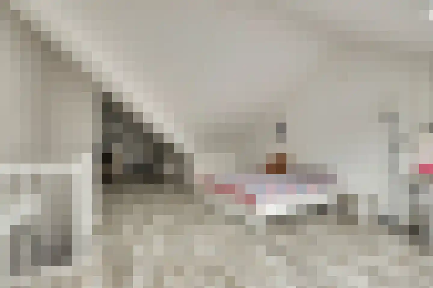 Zonnehof 189 Nootdorp thumbnail 26