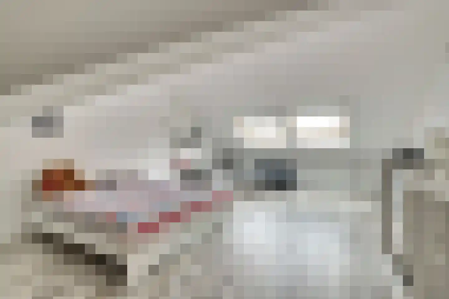 Zonnehof 189 Nootdorp thumbnail 27