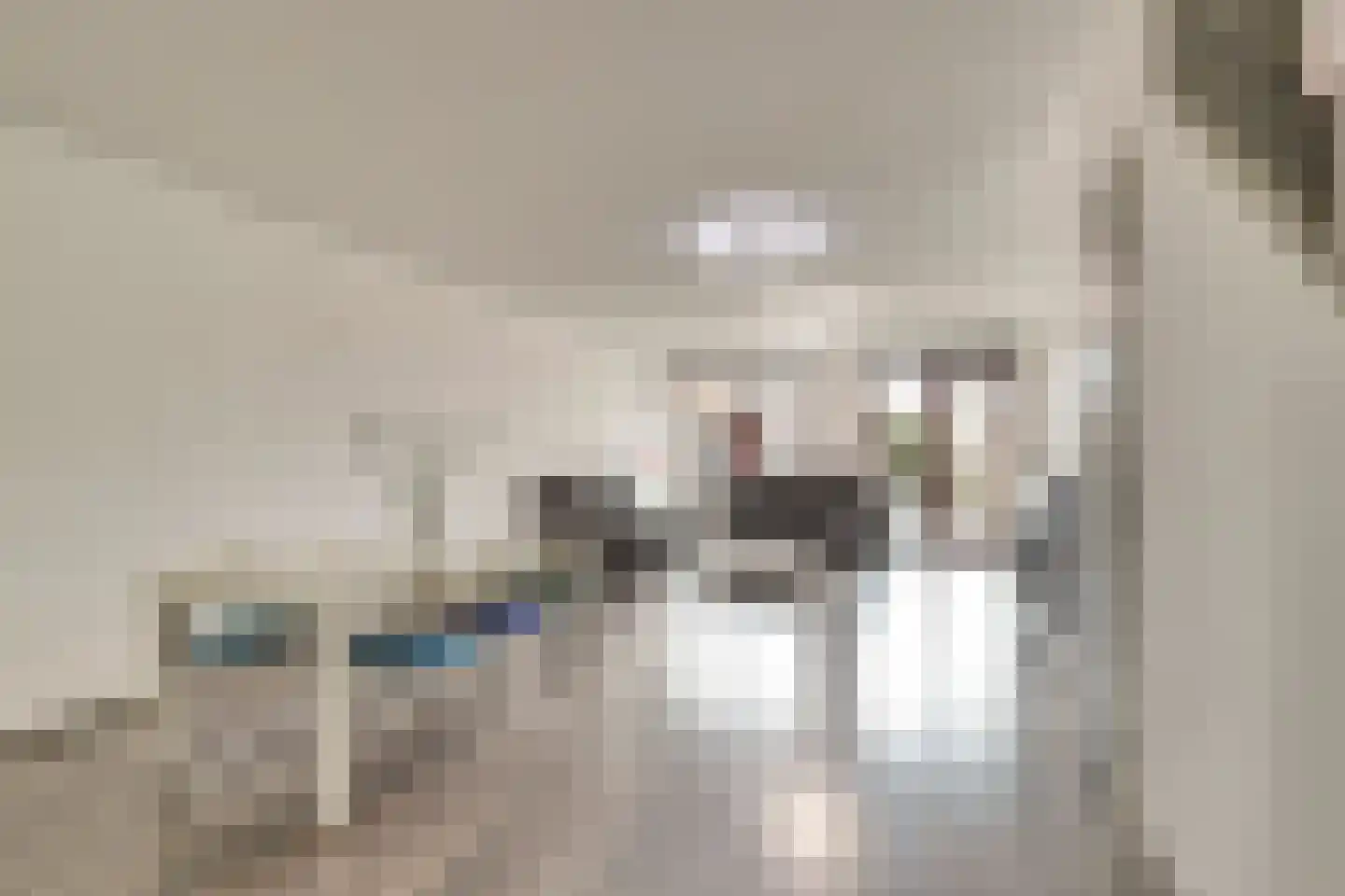 Zonnehof 189 Nootdorp thumbnail 9