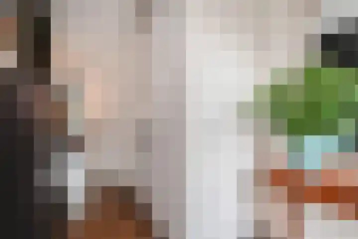Zonnehof 195 Nootdorp thumbnail 11