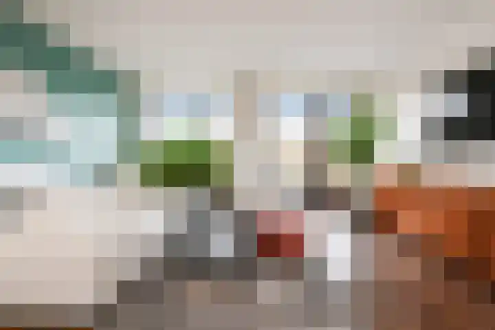 Zonnehof 195 Nootdorp thumbnail 13