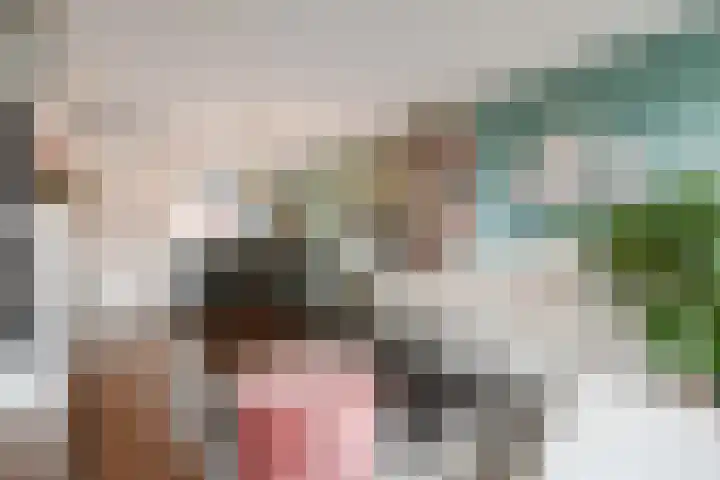 Zonnehof 195 Nootdorp thumbnail 15