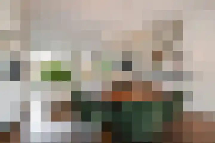 Zonnehof 195 Nootdorp thumbnail 21