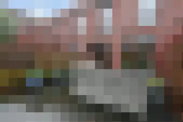 Zonnehof 195 Nootdorp thumbnail 26