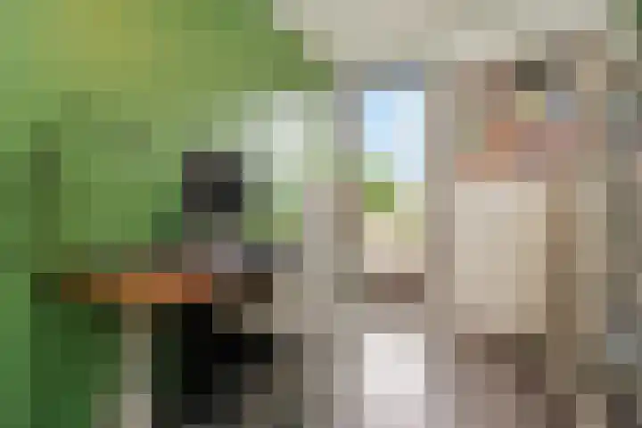 Zonnehof 195 Nootdorp thumbnail 41
