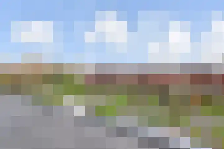 Zonnehof 195 Nootdorp thumbnail 52
