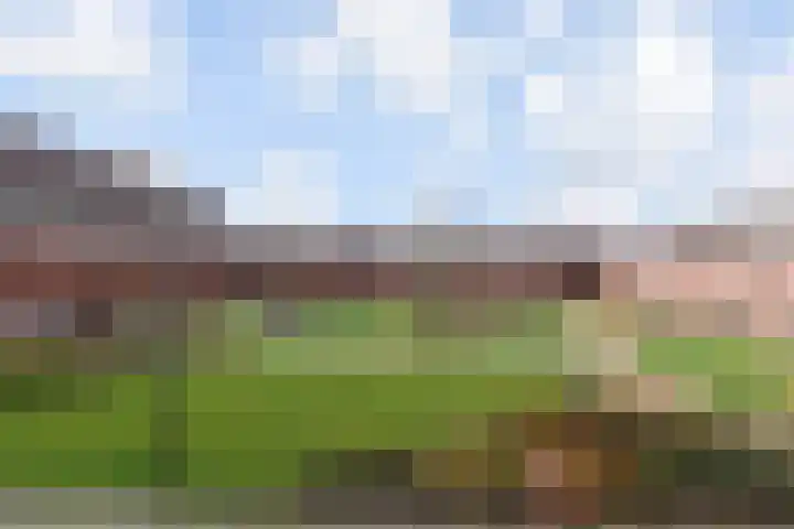 Zonnehof 195 Nootdorp thumbnail 53
