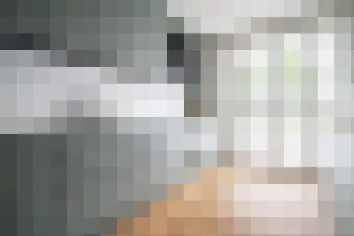 Zonnehof 21 Nootdorp thumbnail 13