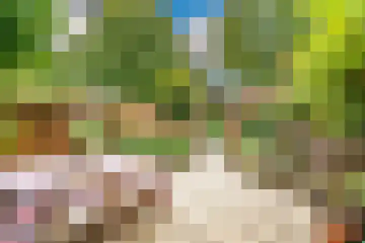 Zonnehof 21 Nootdorp thumbnail 16