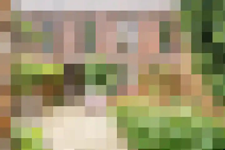 Zonnehof 21 Nootdorp thumbnail 17