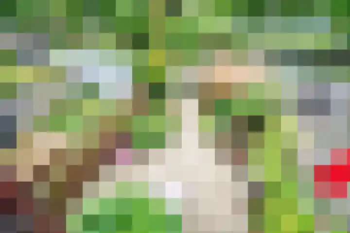 Zonnehof 21 Nootdorp thumbnail 18