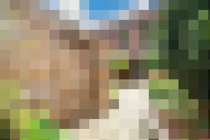 Zonnehof 21 Nootdorp thumbnail 19