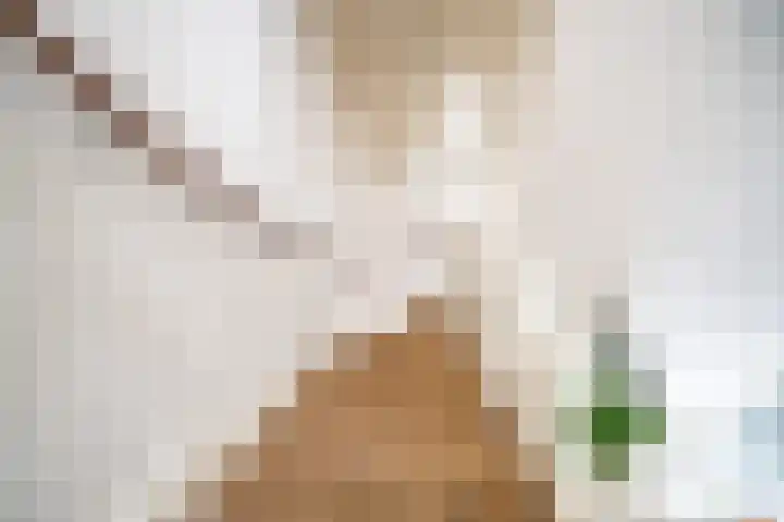 Zonnehof 21 Nootdorp thumbnail 20