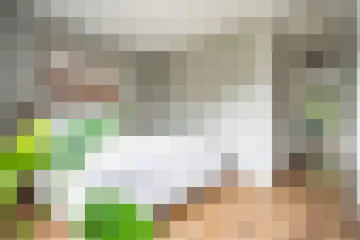 Zonnehof 21 Nootdorp thumbnail 24