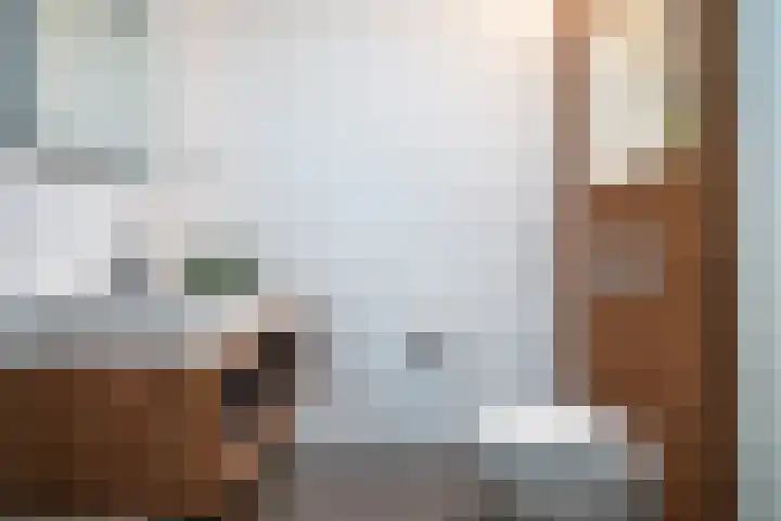 Zonnehof 21 Nootdorp thumbnail 29