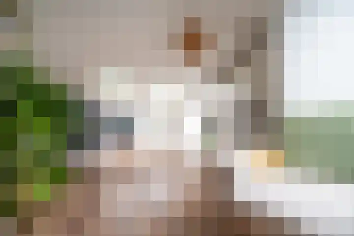 Zonnehof 21 Nootdorp thumbnail 32