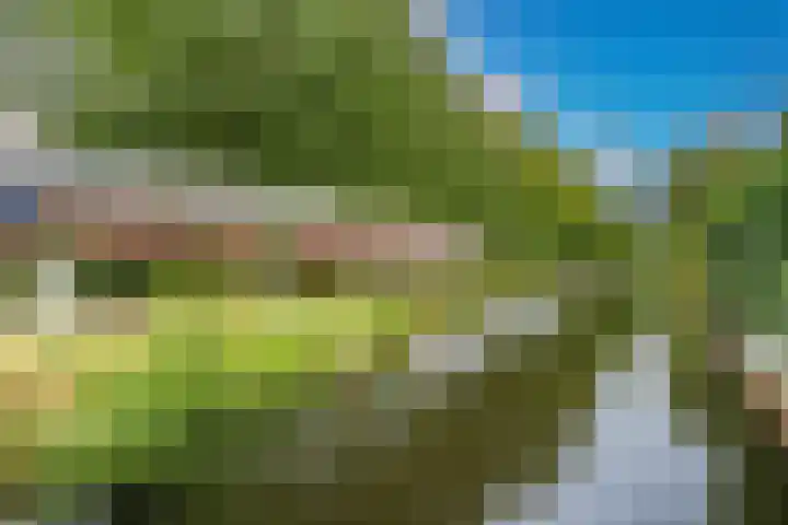 Zonnehof 21 Nootdorp thumbnail 37