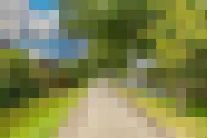 Zonnehof 21 Nootdorp thumbnail 38