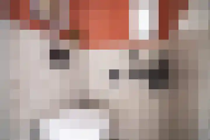 Zonnehof 21 Nootdorp thumbnail 4