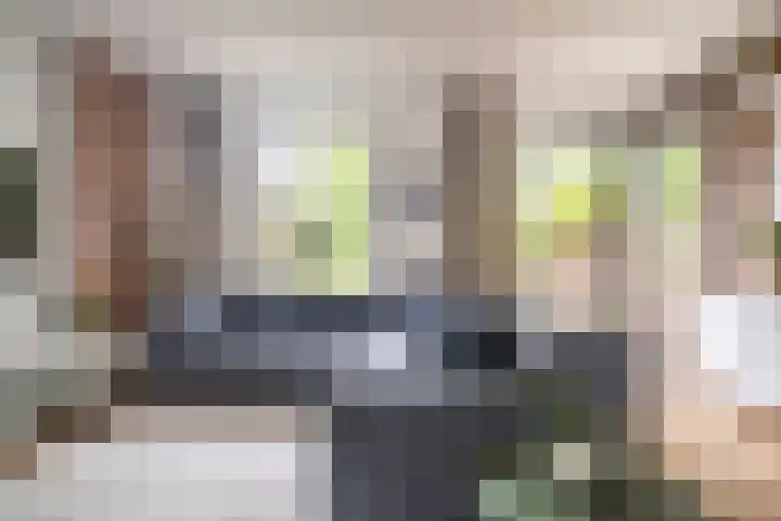 Zonnehof 21 Nootdorp thumbnail 6
