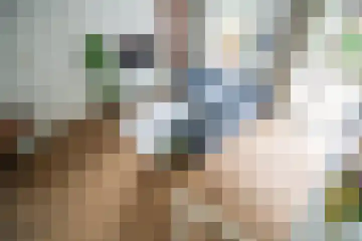 Zonnehof 21 Nootdorp thumbnail 7