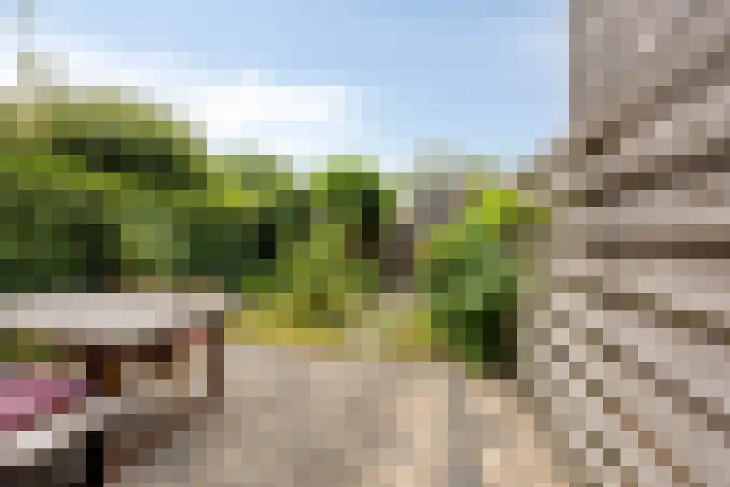 Zonnehof 22 Heerhugowaard thumbnail 25