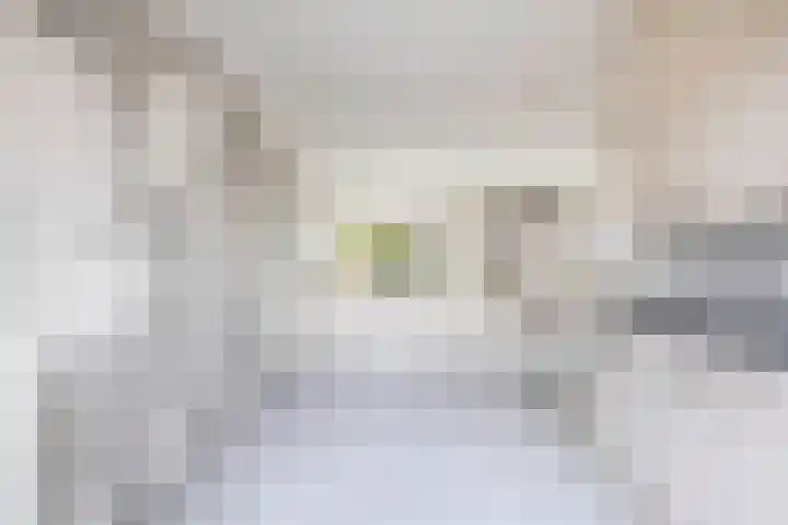 Zonnehof 234 Nootdorp thumbnail 10