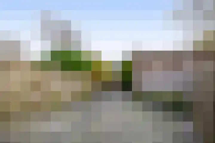Zonnehof 234 Nootdorp thumbnail 12