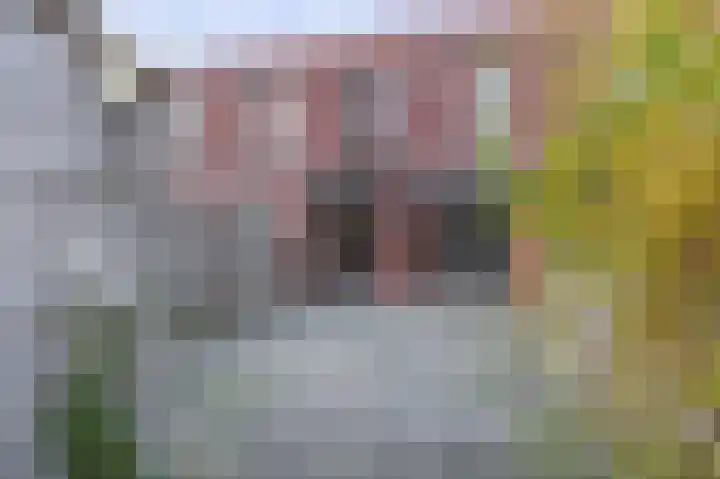 Zonnehof 234 Nootdorp thumbnail 13