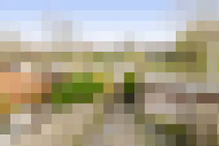 Zonnehof 234 Nootdorp thumbnail 27