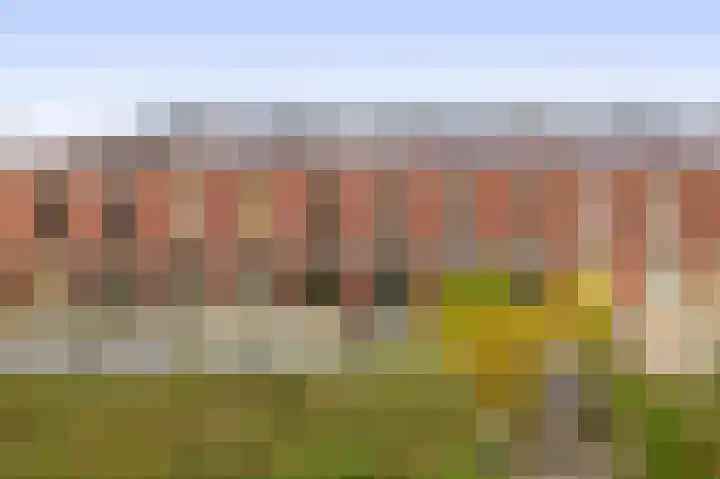 Zonnehof 234 Nootdorp thumbnail 32