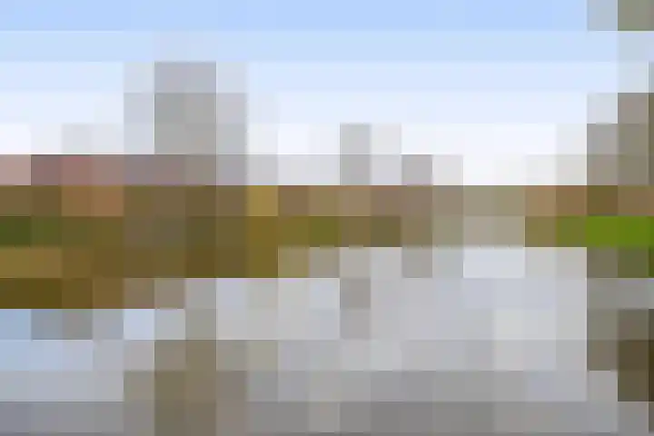 Zonnehof 234 Nootdorp thumbnail 33