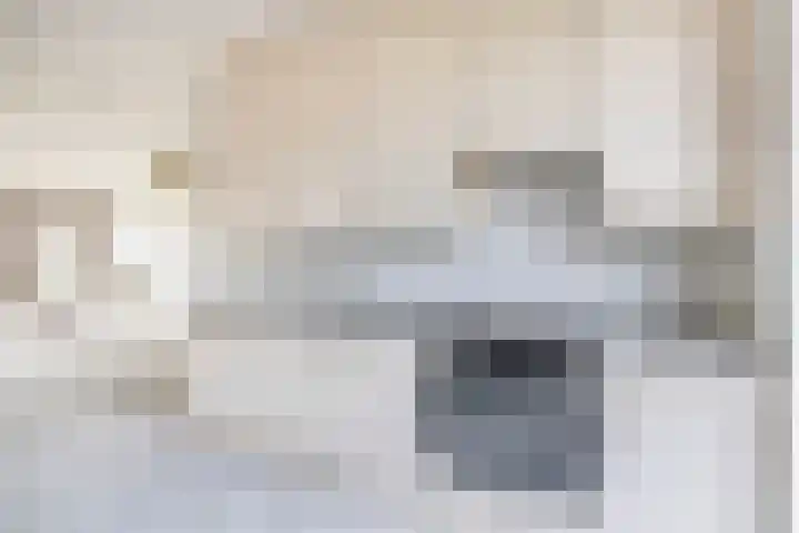 Zonnehof 234 Nootdorp thumbnail 7