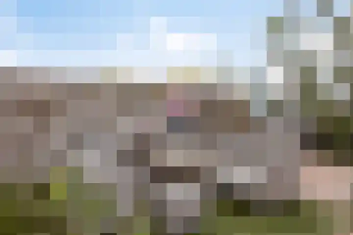 Zonnehof 24 Heerhugowaard thumbnail 35