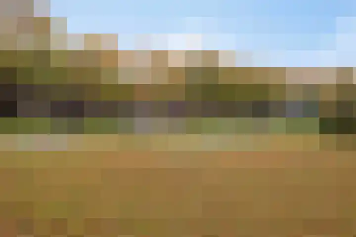 Zonnehof 24 Heerhugowaard thumbnail 36