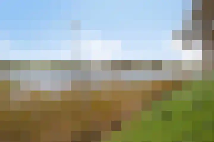 Zonnehof 24 Heerhugowaard thumbnail 37