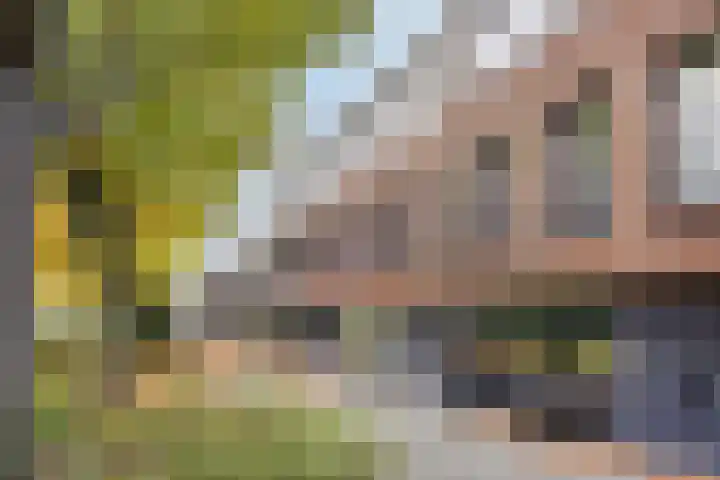 Zonnehof 24 Heerhugowaard thumbnail 5