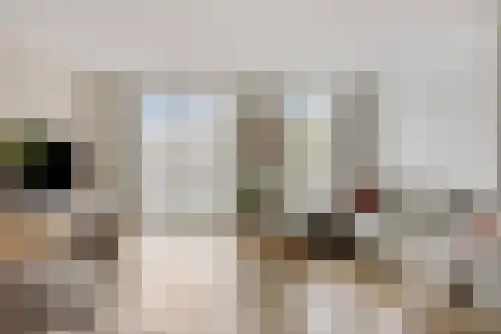 Zonnehof 24 Heerhugowaard thumbnail 9