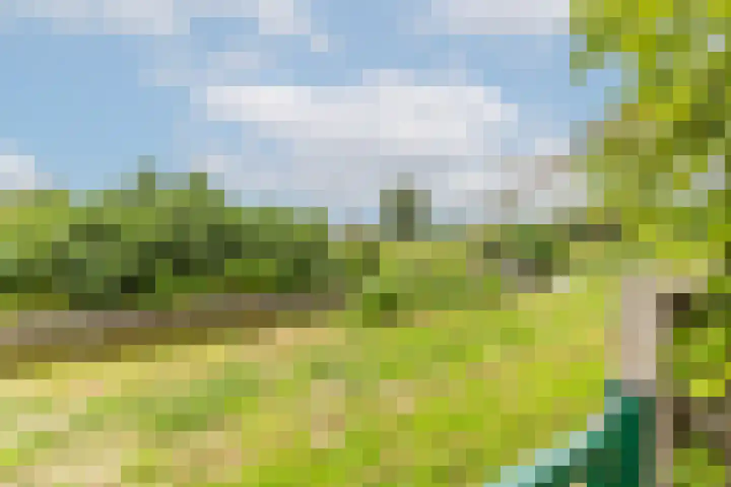 Zonnehof 32 Amsterdam thumbnail 29