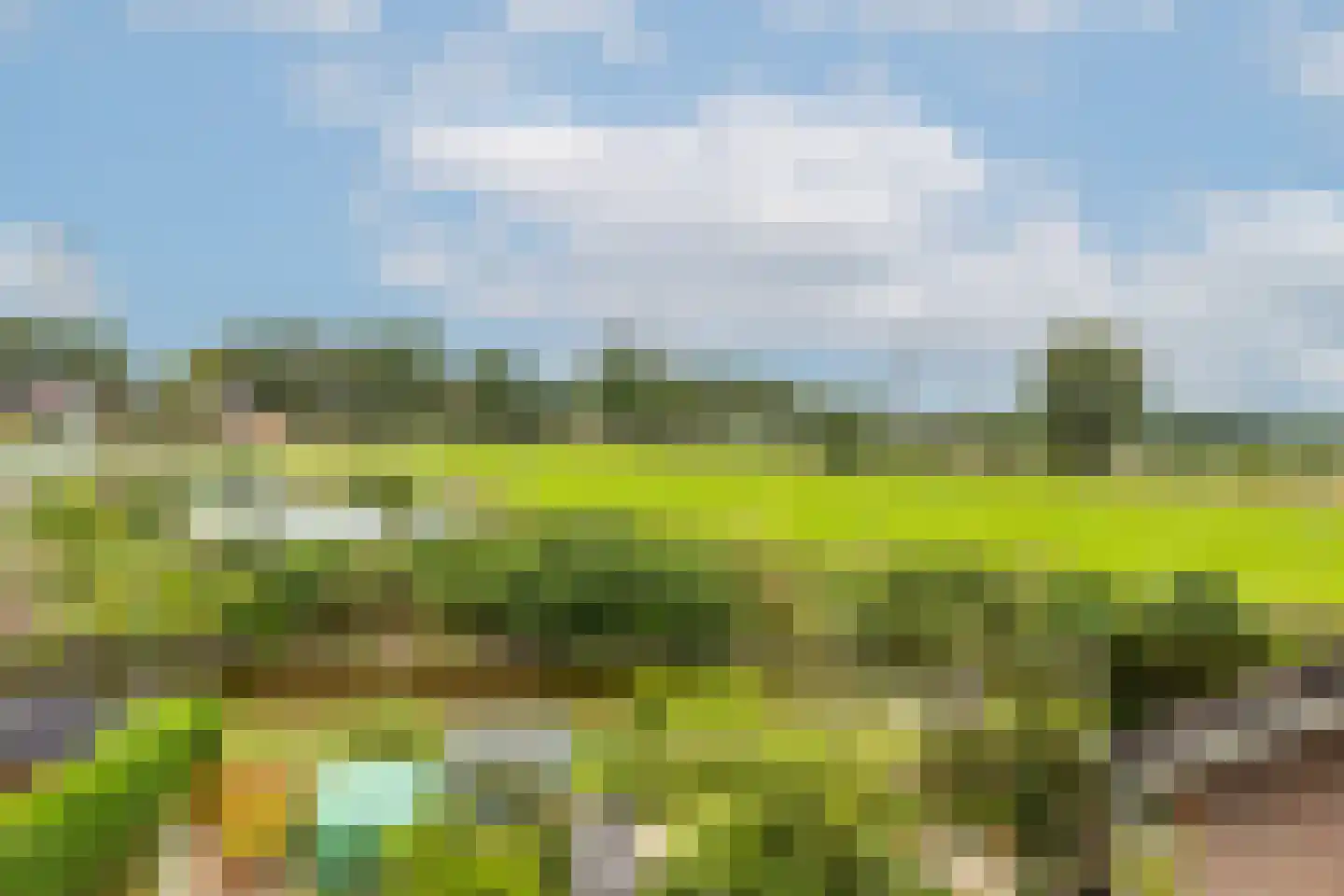Zonnehof 32 Amsterdam thumbnail 4