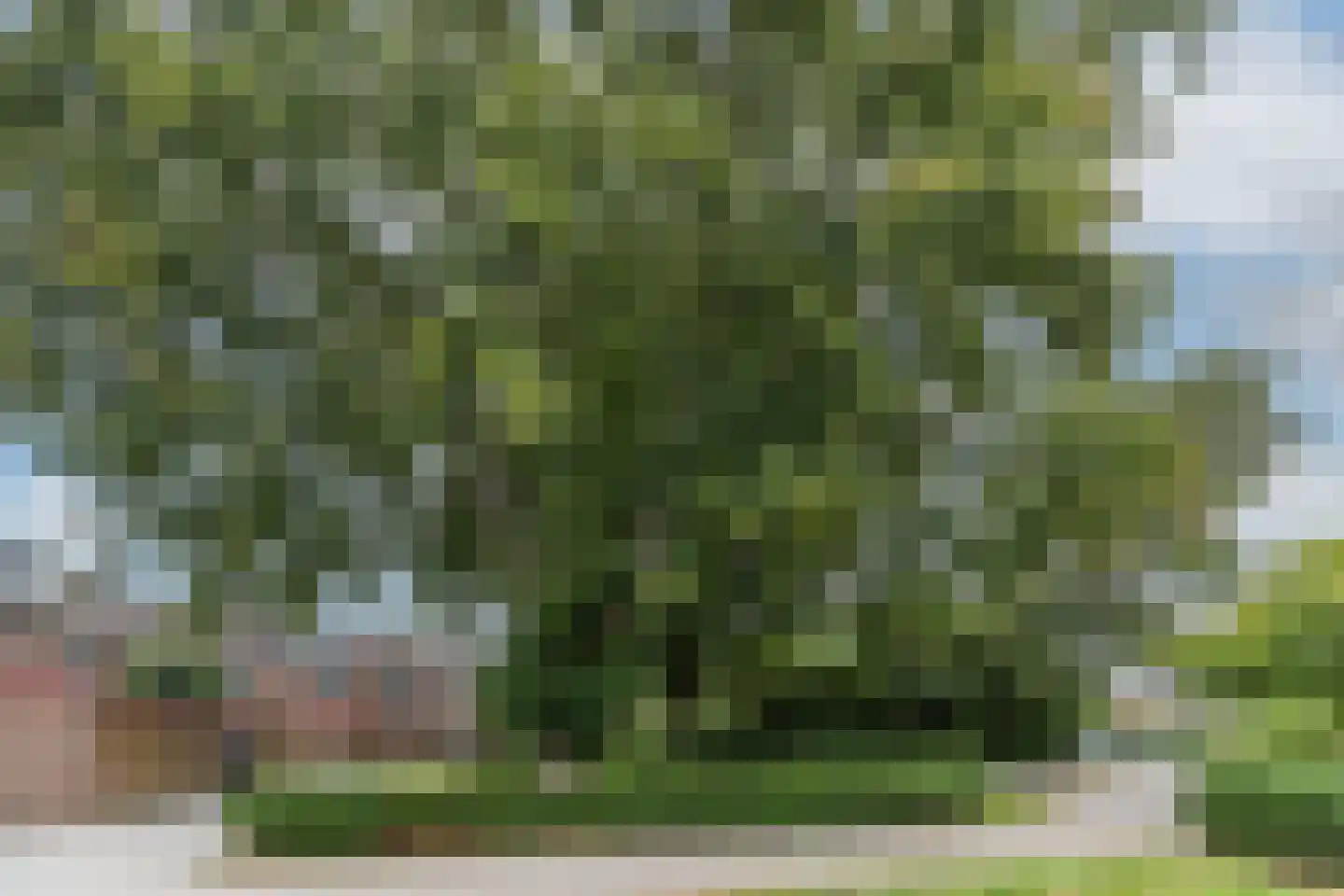 Zonnehof 32 Amsterdam thumbnail 52