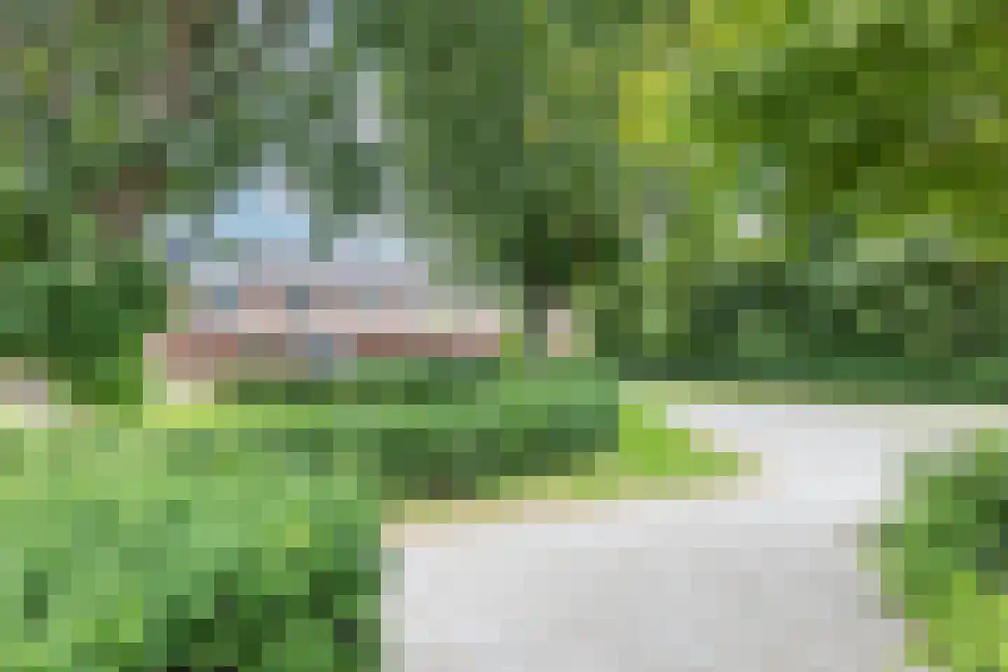 Zonnehof 32 Amsterdam thumbnail 54