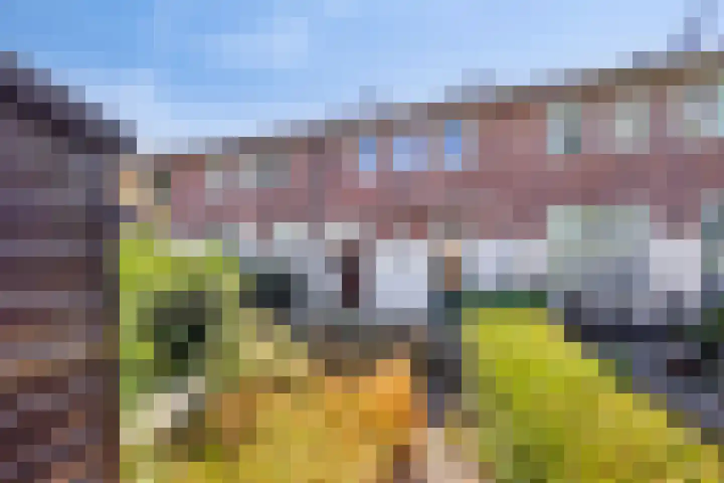 Zonnehof 34 Rotterdam thumbnail 25