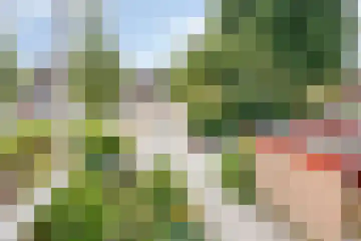 Zonnehof 37 Amsterdam thumbnail 19