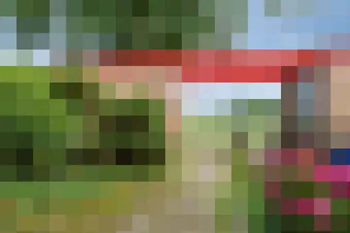 Zonnehof 37 Amsterdam thumbnail 23