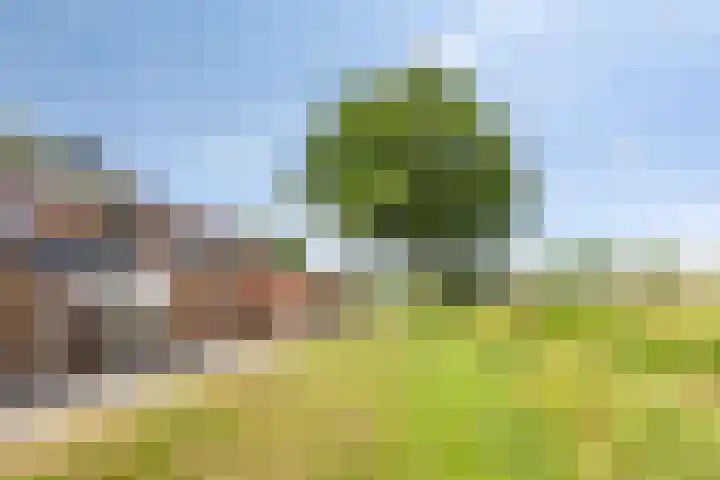 Zonnehof 37 Amsterdam thumbnail 27