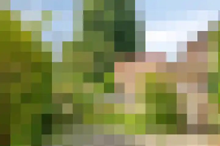 Zonnehof 37 Amsterdam thumbnail 5
