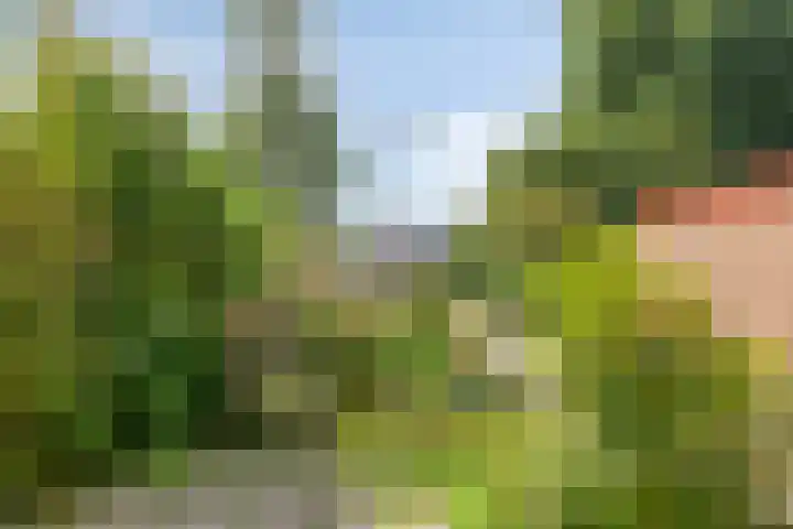 Zonnehof 37 Amsterdam thumbnail 6