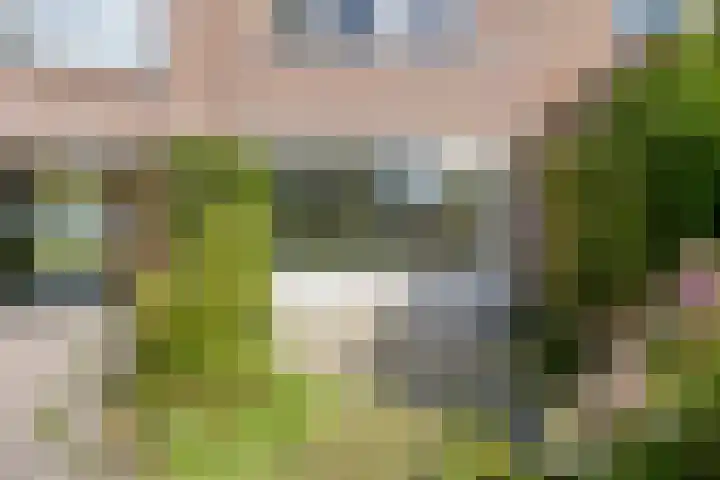 Zonnehof 37 Amsterdam thumbnail 7
