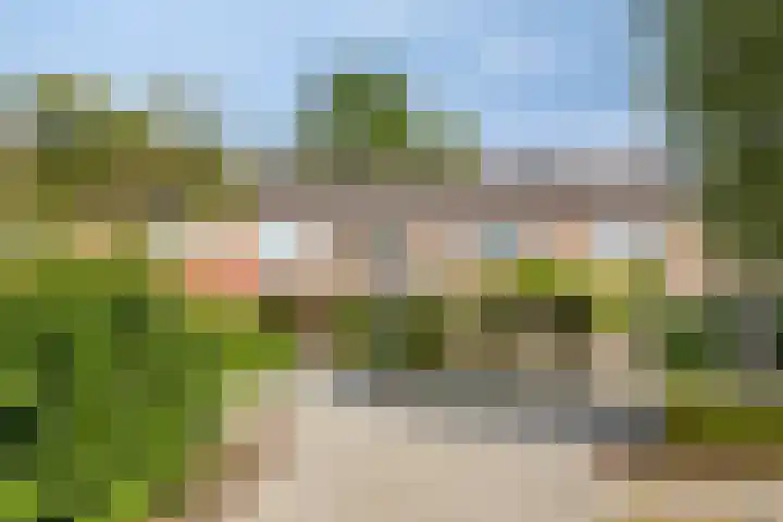 Zonnehof 37 Amsterdam thumbnail 8